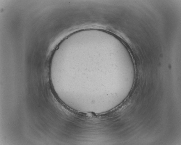 X0000072551504200608041635