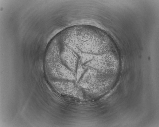 X0000072551505200608041635