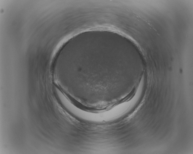 X0000072551506200608041635