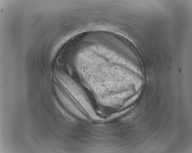 X0000072551507200608041635