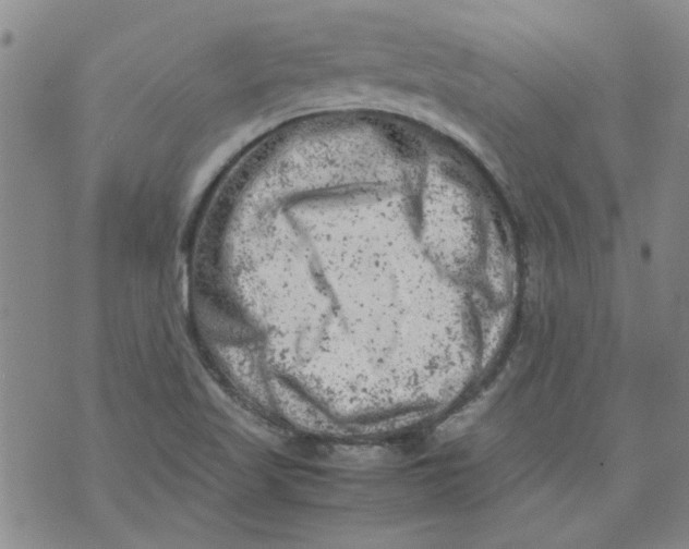 X0000072551509200608041635