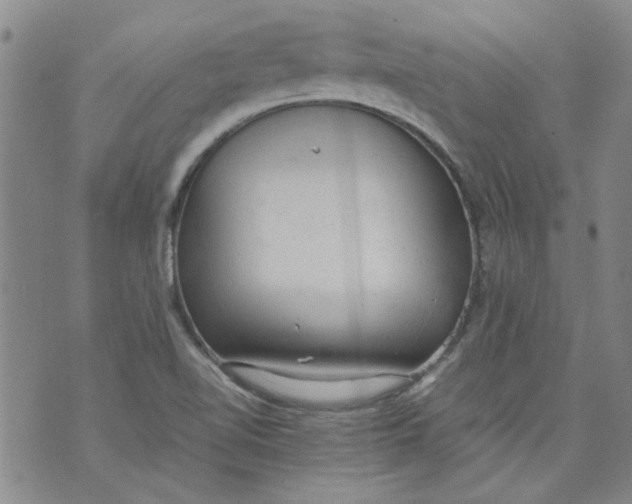 X0000072551510200608041635