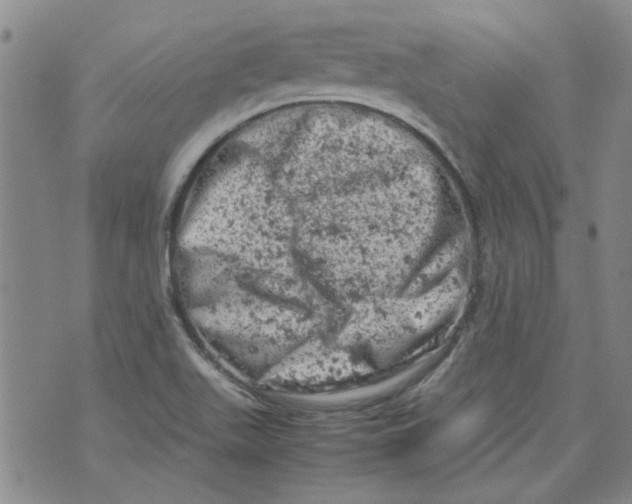 X0000072551511200608041635