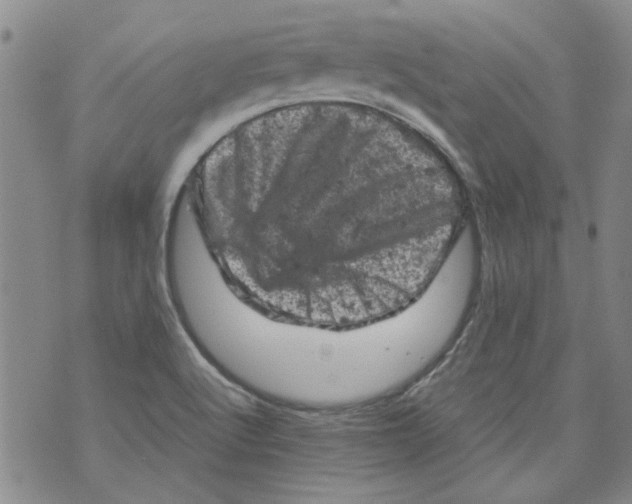 X0000072551512200608041635