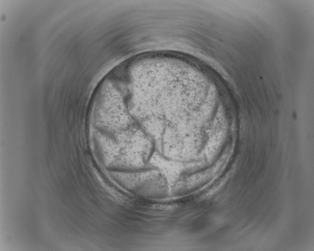 X0000072551513200608041635