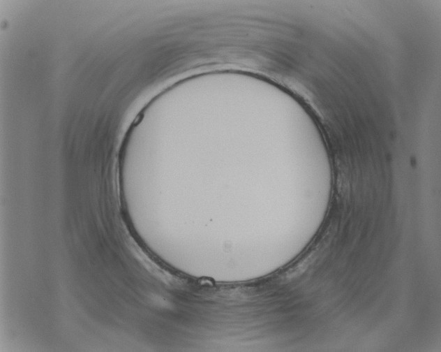 X0000072551516200608041635