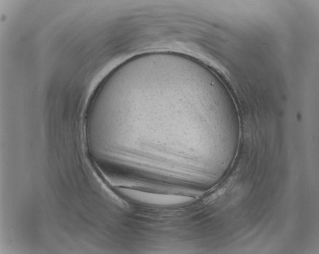 X0000072551517200608041635