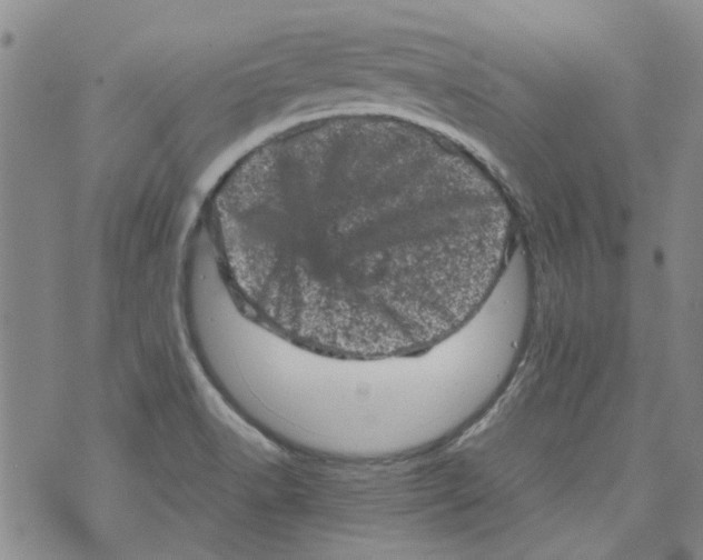 X0000072551518200608041635