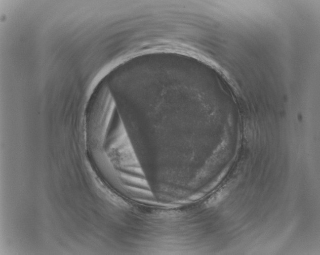 X0000072551522200608041635