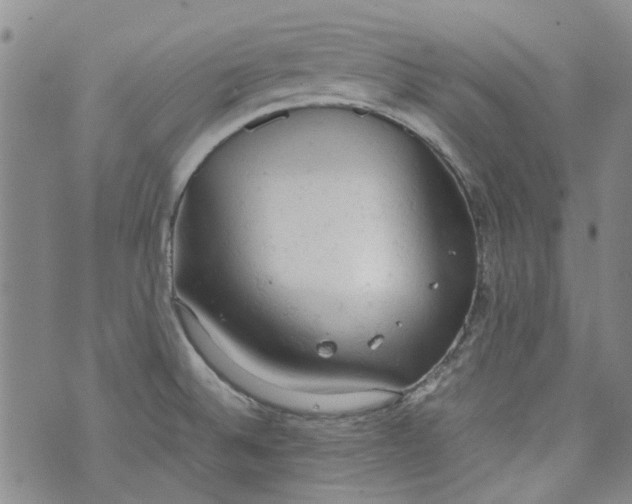 X0000072551524200608041635