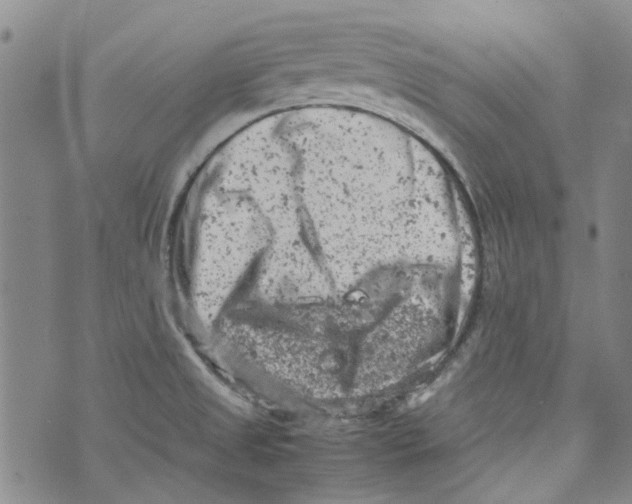 X0000072551525200608041635