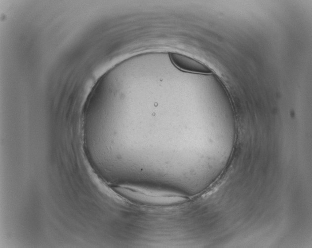 X0000072551526200608041635