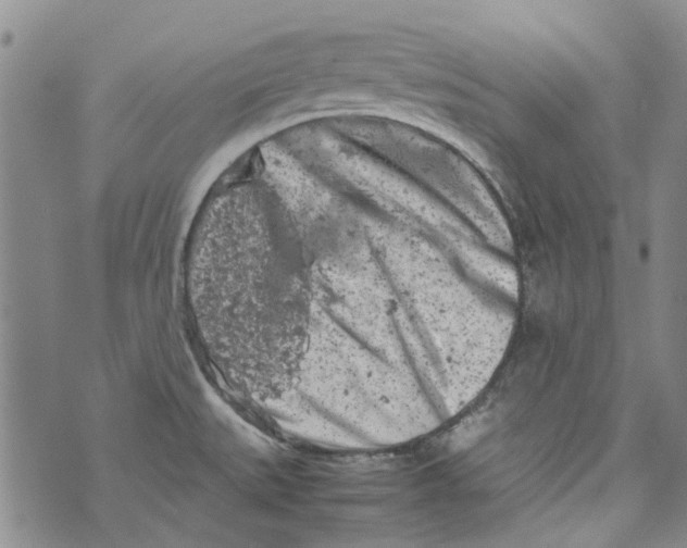 X0000072551527200608041635