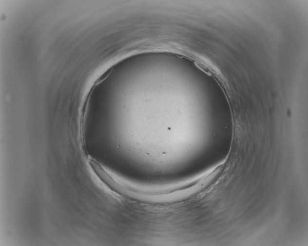 X0000072551528200608041635