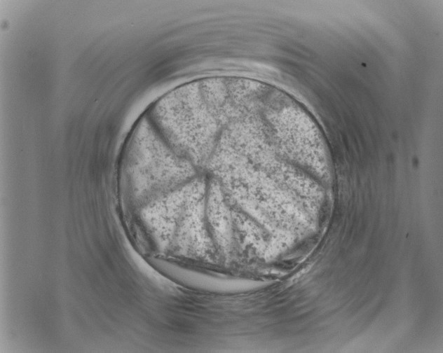 X0000072551531200608041635