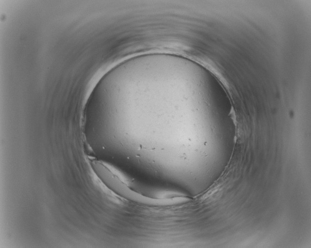 X0000072551532200608041635