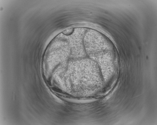 X0000072551533200608041635