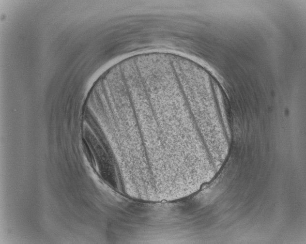 X0000072551534200608041635