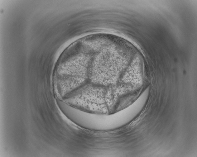 X0000072551535200608041635