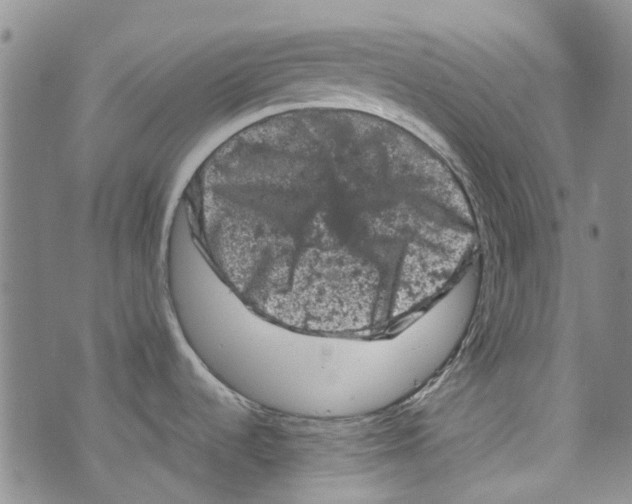 X0000072551536200608041635