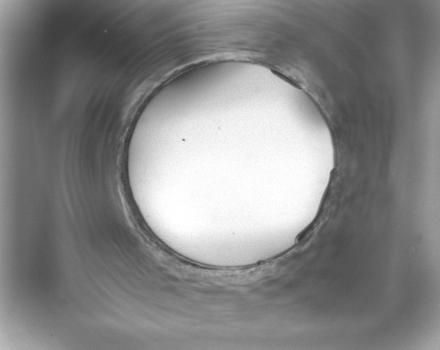 X0000072550001200608111851