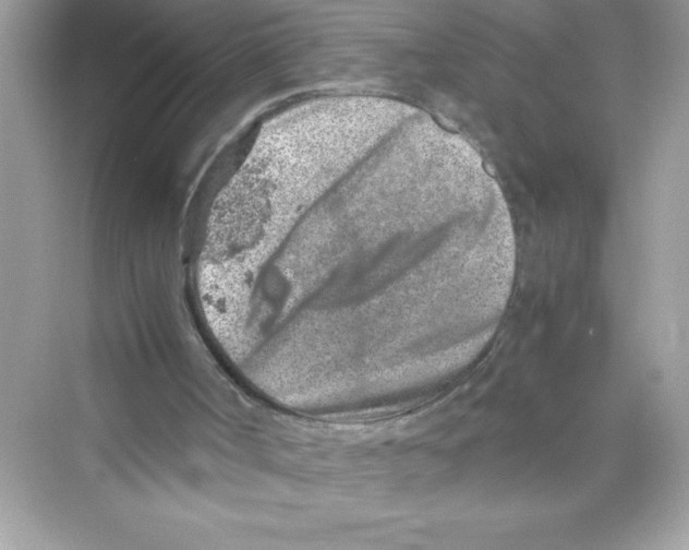 X0000072550002200608111851