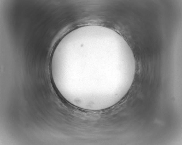 X0000072550004200608111851