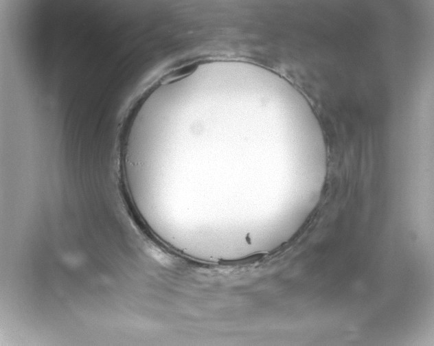 X0000072550005200608111851