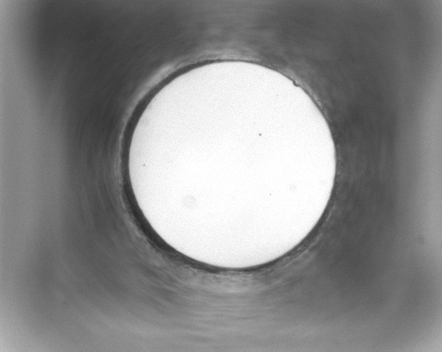 X0000072550008200608111851