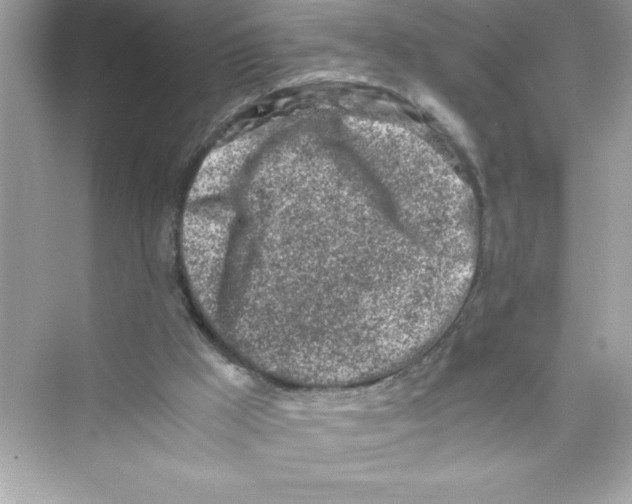 X0000072550009200608111851