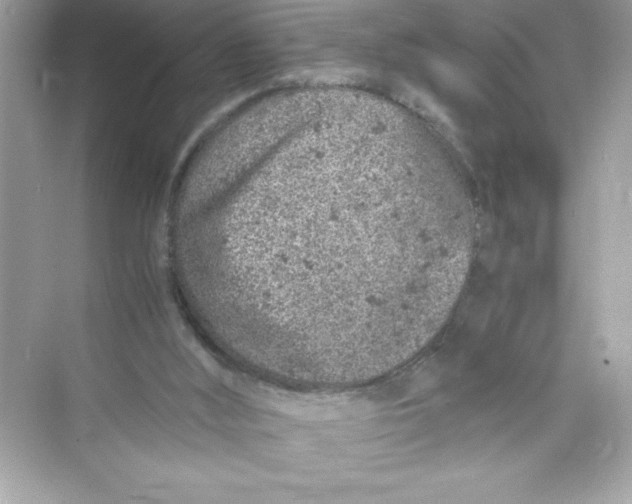 X0000072550012200608111851