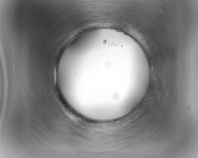 X0000072550013200608111851