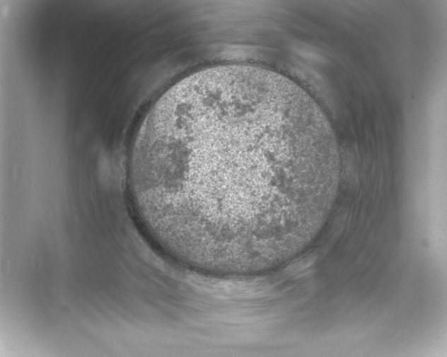 X0000072550016200608111851