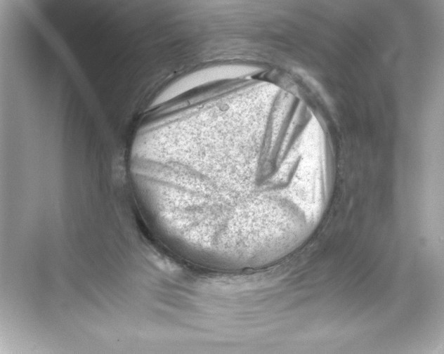 X0000072550017200608111851