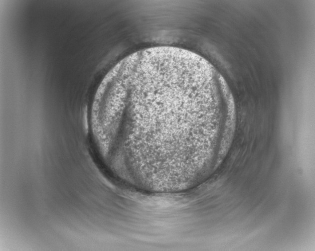 X0000072550020200608111850