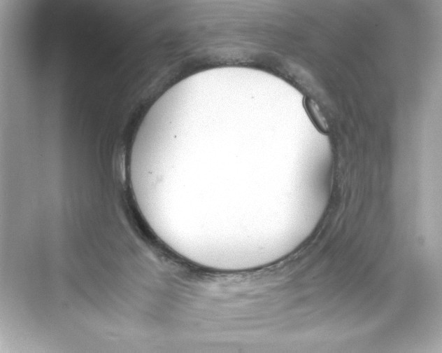 X0000072550021200608111850