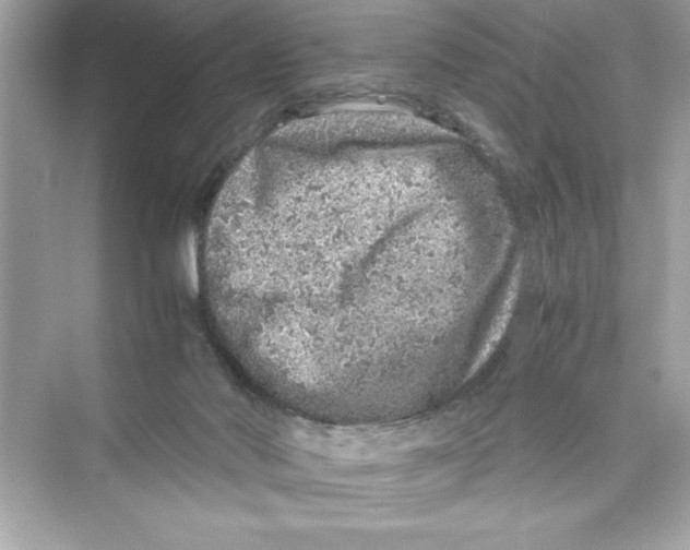 X0000072550022200608111850