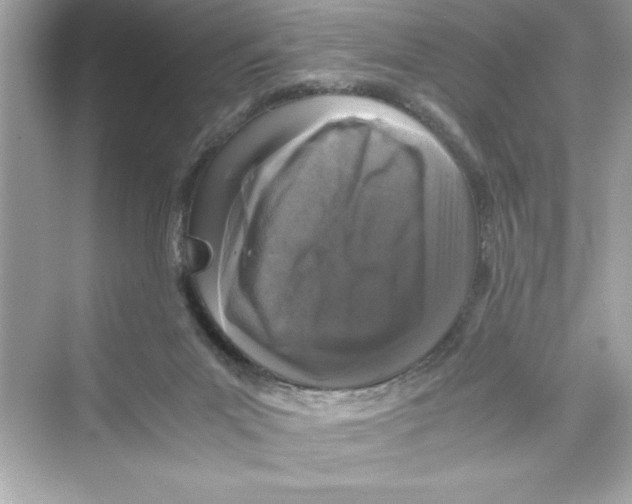 X0000072550023200608111850