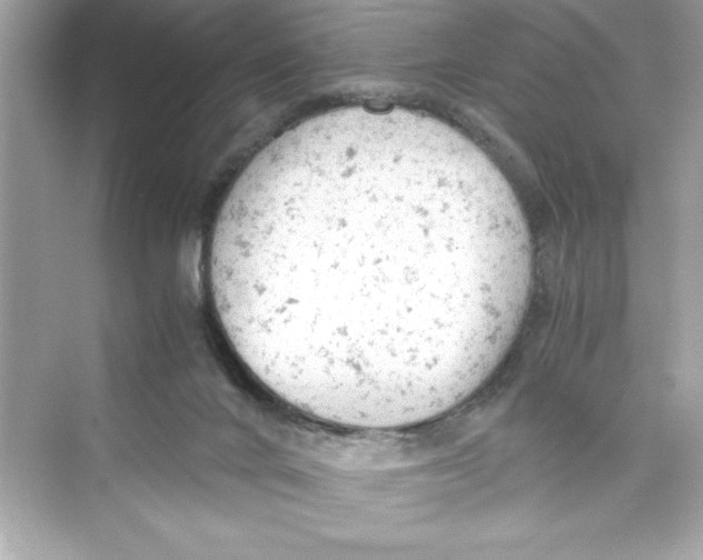 X0000072550024200608111850