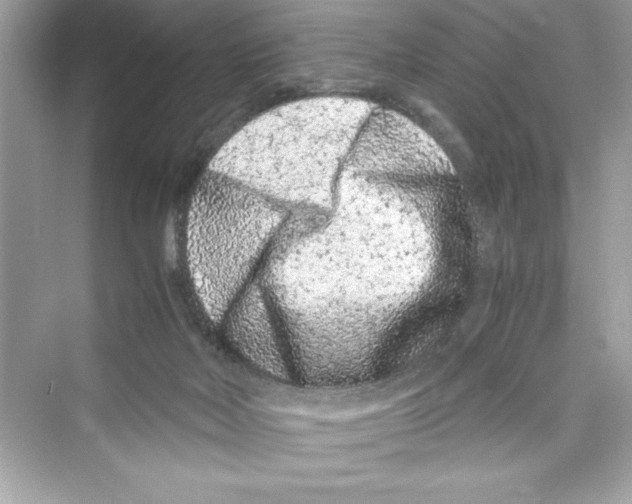 X0000072550026200608111850