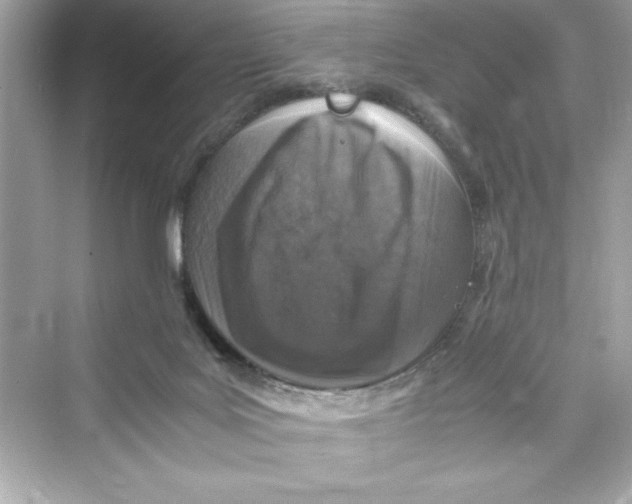 X0000072550027200608111850