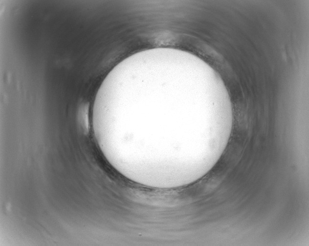 X0000072550028200608111850