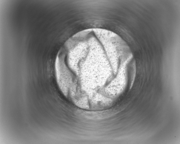 X0000072550030200608111850