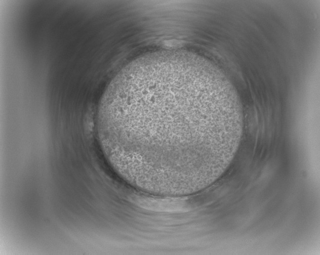 X0000072550032200608111850