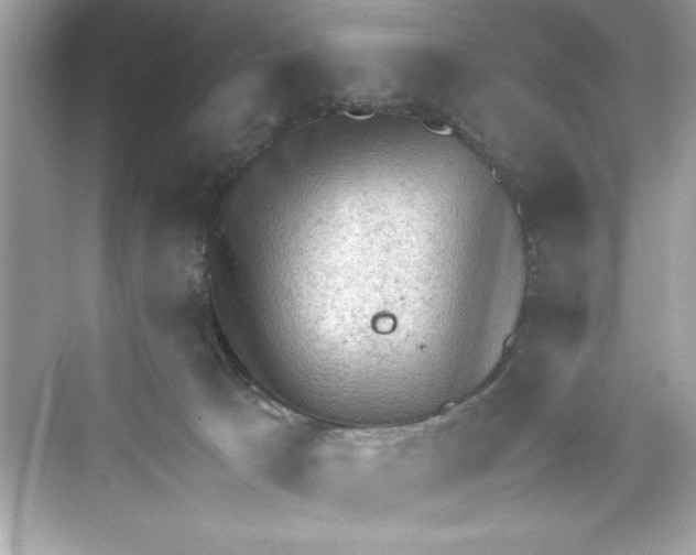 X0000072550033200608111850