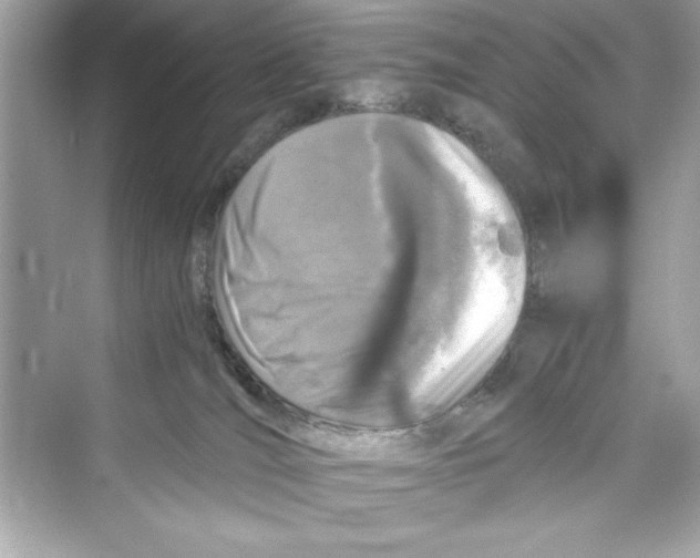 X0000072550036200608111850