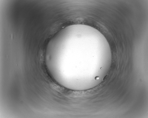 X0000072550037200608111850