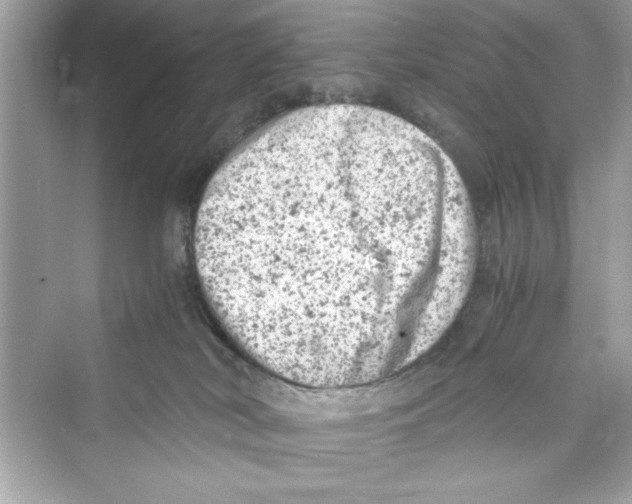 X0000072550038200608111850