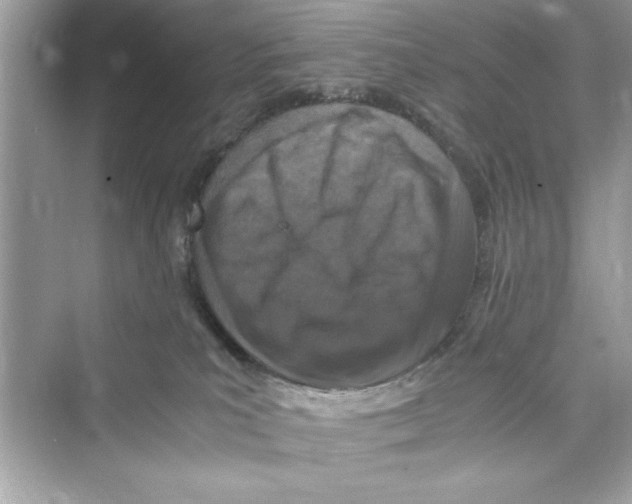 X0000072550039200608111850