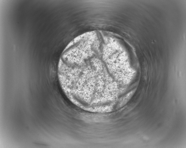 X0000072550040200608111850